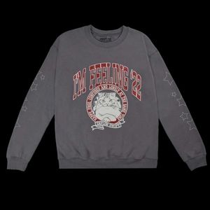 Brand New in Package Taylor Swift I'm Feeling 22 Graduation Cat Sweatshirt